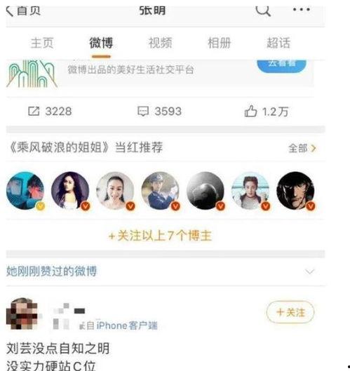 娱乐吃瓜酱站的高度不同